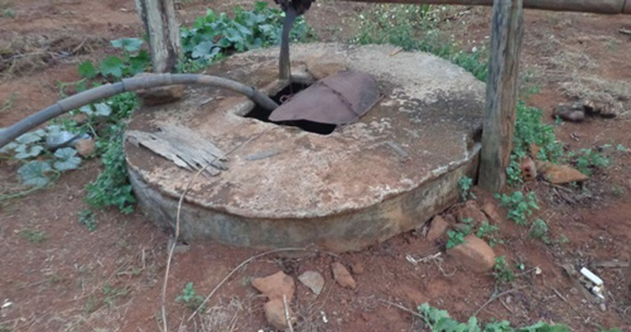 Ảnh minh họa: Internet