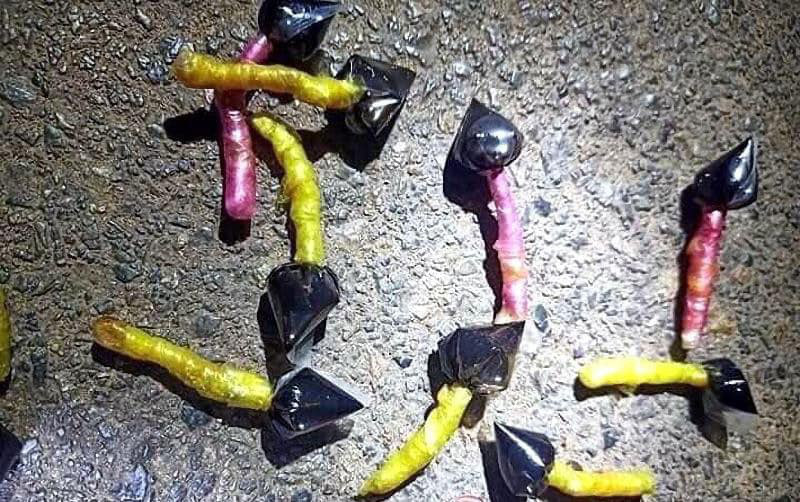 Bả chó dạng kẹo mút (Ảnh: Lý Lan).