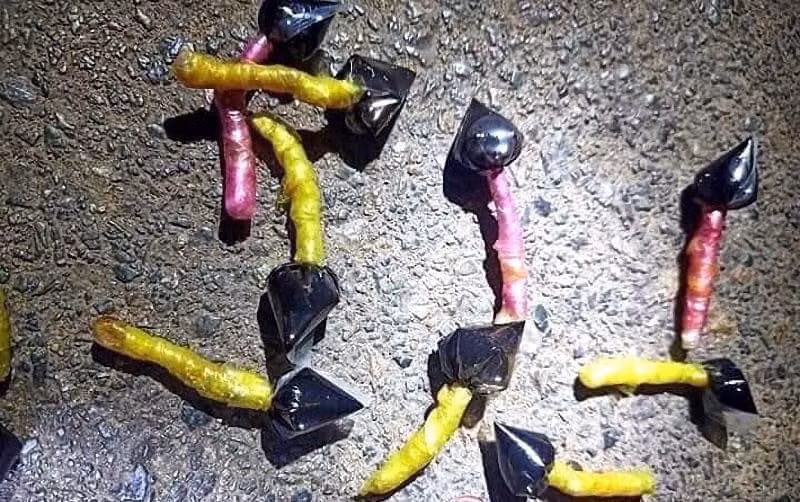 Bả chó dạng kẹo mút (Ảnh: Lý Lan).