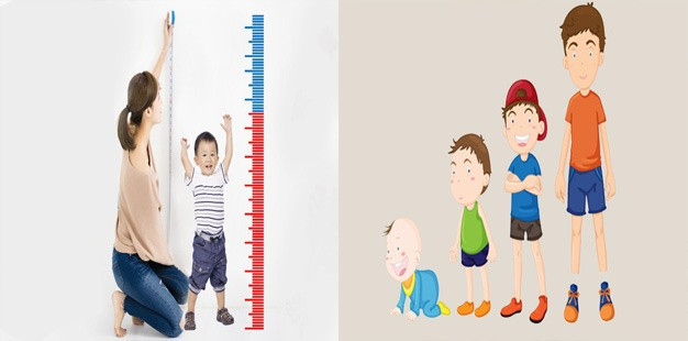 Bổ sung canxi đúng cách giúp hệ xương khớp chắc khỏe và phát triển chiều cao. Đồ họa: Kim Nhung