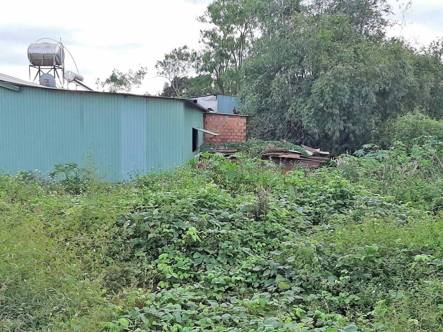 Lô đất ông K. kiến nghị. Ảnh: Lệ Phương