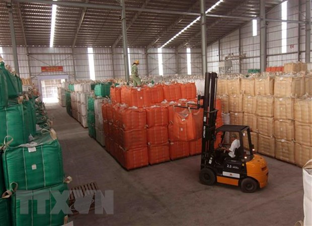 Chuẩn bị nguồn hàng gạo xuất khẩu tại nhà máy của Tập đoàn Lộc Trời (tỉnh An Giang). (Ảnh: Vũ Sinh/TTXVN)