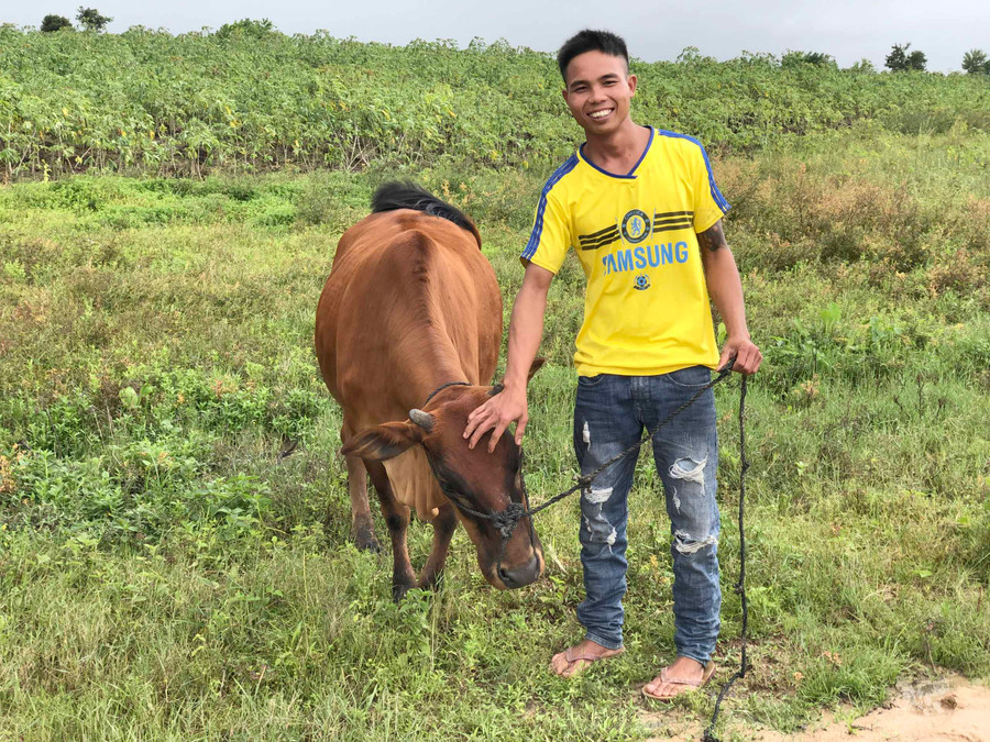 Anh Đinh Lươm bên con bò giống được Ủy ban MTTQ Việt Nam thị xã An Khê hỗ trợ. Ảnh Nguyễn Giang