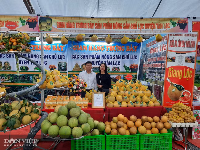 Bưởi đỏ Tân Lạc - một trong những sản phẩm đạt chuẩn OCOP của Hoà Bình cũng góp mặt tại hội chợ. Ảnh: P.V