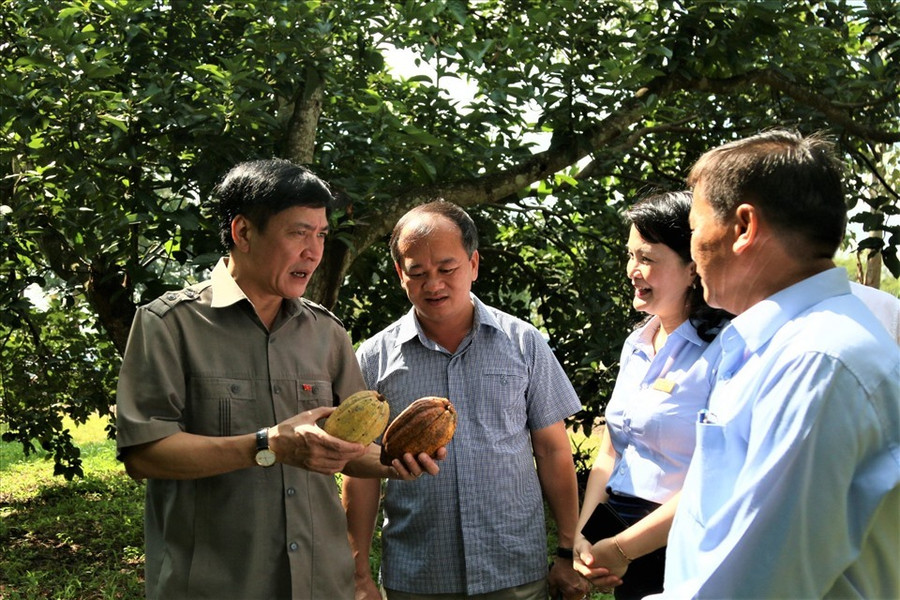 Khai thác du lịch canh nông một cách bài bản sẽ mang lại luồng “sinh khí” mới cho ngành du lịch tỉnh Đắk Lắk. Ảnh: Bảo Trung