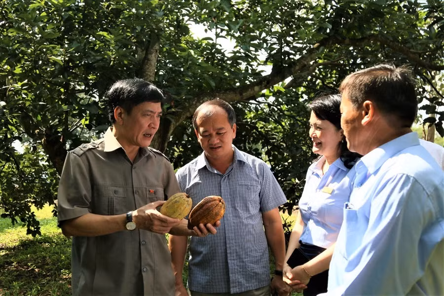 Khai thác du lịch canh nông một cách bài bản sẽ mang lại luồng “sinh khí” mới cho ngành du lịch tỉnh Đắk Lắk. Ảnh: Bảo Trung