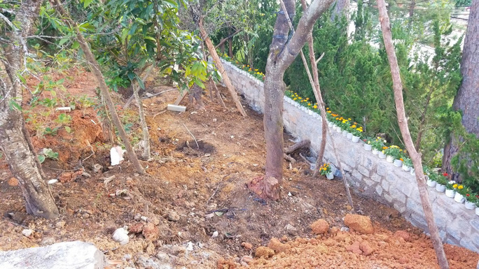 Theo tìm hiểu của phóng viên, hiện đất tại khu vực này có giá trị khoảng 120 triệu đồng/m2.