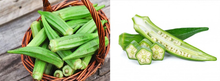 Chất xơ có trong đậu bắp có thể giúp kiểm soát nồng độ cholesterol trong máu. Đồ họa: Kim Nhung