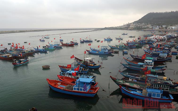 Nơi neo đậu tàu thuyền của ngư dân trên đảo Lý Sơn. Nơi neo đậu tàu thuyền của ngư dân trên đảo Lý Sơn.