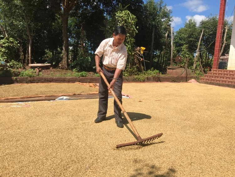Ông Ksiu Plak là hộ điển hình sản xuất giỏi của làng Thung.Ảnh-R.H