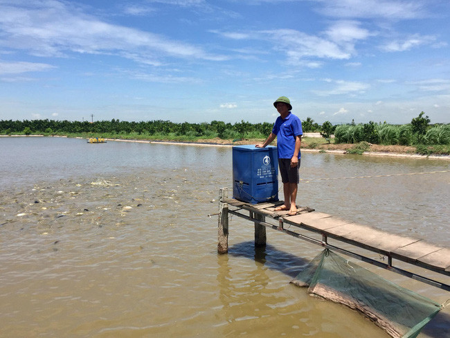 Để giảm bớt công lao động, anh Lâm đã lắp đặt máy cho cá ăn tự động. Ảnh: Thu Hà Để giảm bớt công lao động, anh Lâm đã lắp đặt máy cho cá ăn tự động. Ảnh: Thu Hà