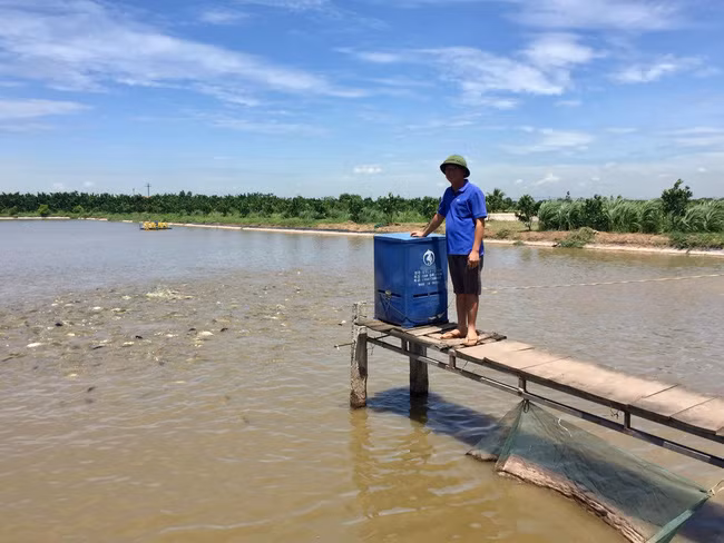 Để giảm bớt công lao động, anh Lâm đã lắp đặt máy cho cá ăn tự động. Ảnh: Thu Hà