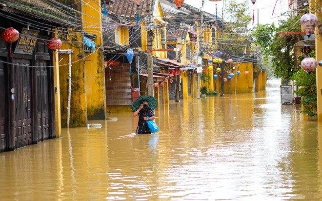 Các nhíếp ảnh gia ngâm mình trong nước để 