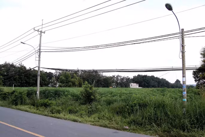 Hiện trạng mảnh đất vướng tranh chấp vì CHV cơ quan THADS bán đấu giá rồi lại khởi kiện, yêu cầu hủy chính kết quả đấu giá này