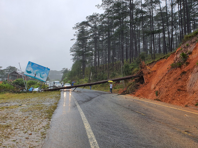  Nước lũ dâng cao, cây ngã đổ do mưa lớn ở Lâm Đồng.