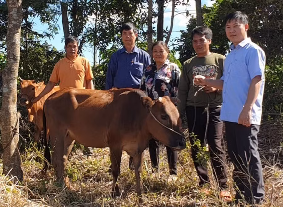  Ông Nguyễn Xuân Thủy-Chủ tịch Hội Nạn nhân CĐDC đứng thứ hai từ trái sang phải tặng bò cho 2 hộ gia đình nạn nhân làng Klah, xã Al Bá (Chư Sê). Ảnh: Hoàng Viên