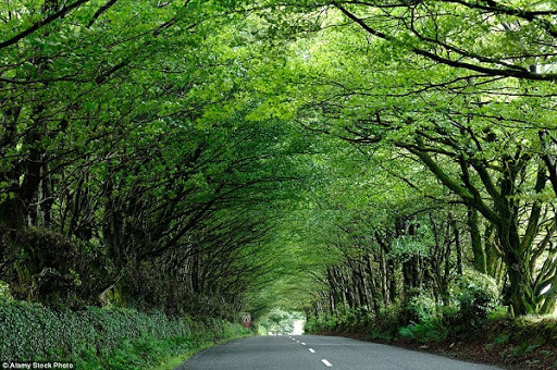 Ảnh minh họa: Internet