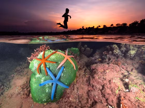  Tuổi thơ và biển cả - huy chương đồng thể loại Ảnh hiện thực. Ảnh: NGUYỄN NGỌC THIỆN