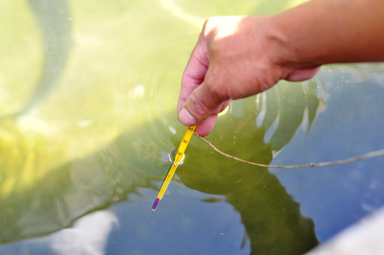 Xã Rô Men, huyện Đam Rông (tỉnh Lâm Đồng) với lợi thế về về khí hậu và nguồn tài nguyên nước lạnh để nuôi cá tầm (nhiệt độ dưới 18 độ C, độ cao từ 600 m trở lên).