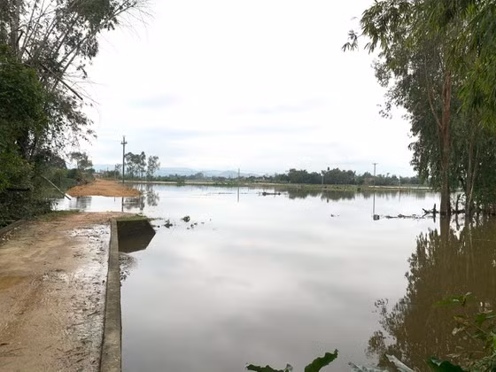 Khu vực hiện trường, nơi em Phan Văn Quang cứu bạn bị đuối nước