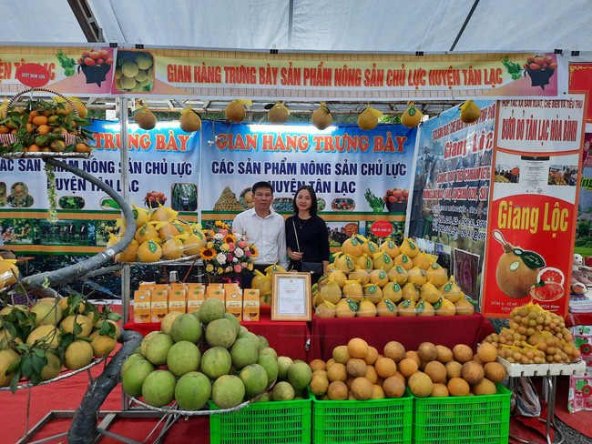 Sản phẩm cây có múi của Hòa Bình trong mấy năm nay được đánh giá cao về chất lượng. Ảnh: X.T