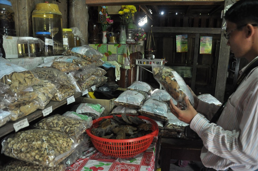 "Thần dược" bổ thận, cường tráng AmaKông ở Tây Nguyên. Ảnh: Thanh Hải