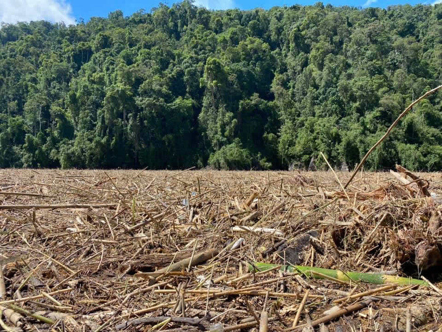 Việc tìm kiếm trên sông cũng gặp nhiều khó khăn do lượng củi, gỗ trôi nổi trên sông dày đặt. Việc tìm kiếm trên sông cũng gặp nhiều khó khăn do lượng củi, gỗ trôi nổi trên sông dày đặt.