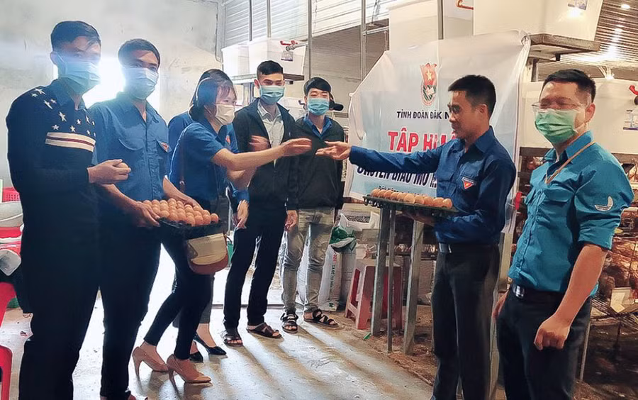 Mô hình đang trở thành nơi chuyển giao kinh nghiệm làm ăn cho nhiều thanh niên trên địa bàn huyện