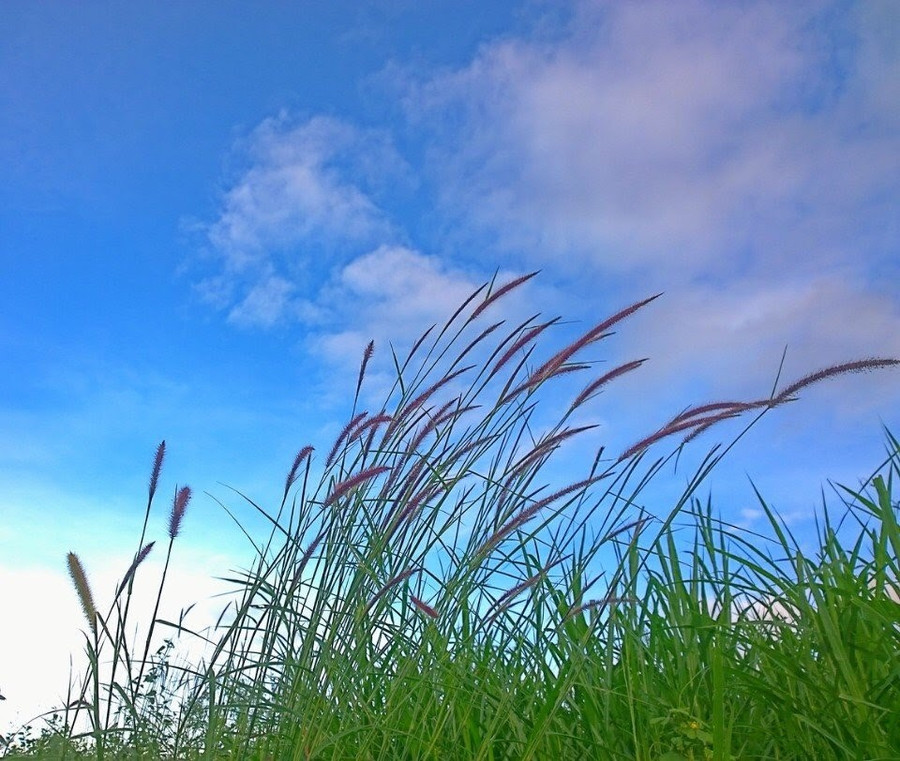 Ảnh minh họa: Thái Bình