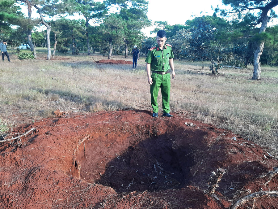 Các đối tượng đã bứng cây thông đi, để lại các hố đường kính gần 2m.