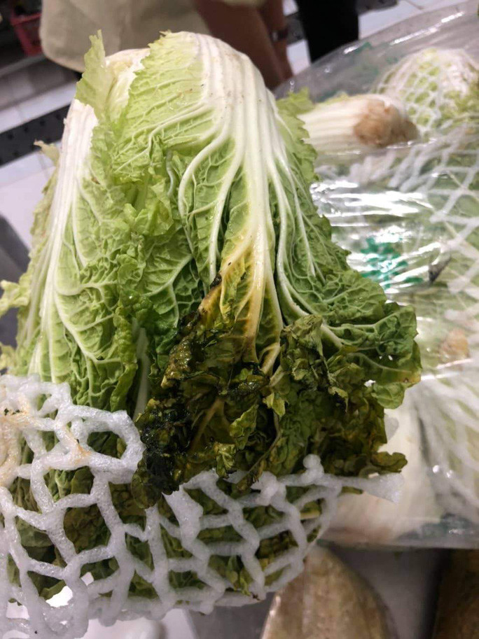 Bắp cải kém chất lượng được dùng nấu cho học sinh  Bắp cải kém chất lượng được dùng nấu cho học sinh