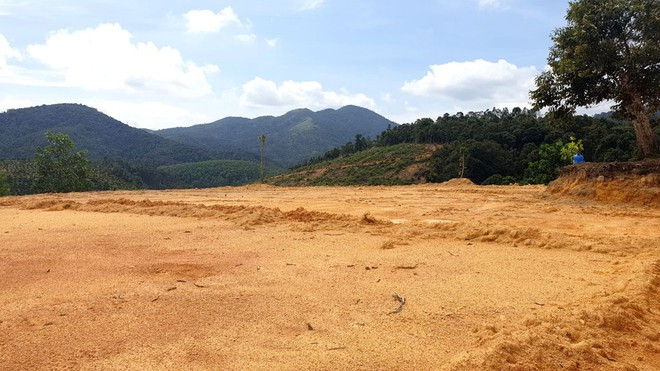 Một quả đồi đã bị san phẳng tại TK473 thì cơ quan chứ năng mới hay ? Ảnh: T.D