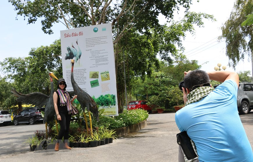 Khách du lịch chụp ảnh lưu niệm với biểu tượng Sếu đầu đỏ. (Ảnh: Chương Đài/TTXVN) Khách du lịch chụp ảnh lưu niệm với biểu tượng Sếu đầu đỏ. (Ảnh: Chương Đài/TTXVN)