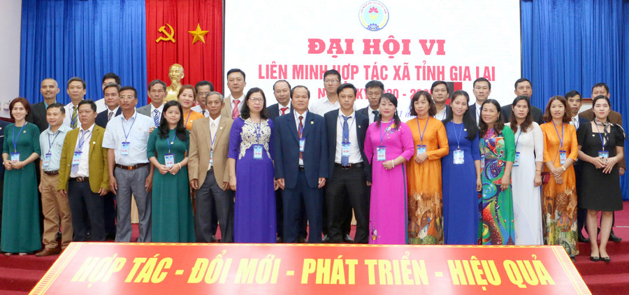 Gia Lai chú trọng xây dựng hợp tác xã kiểu mới gắn với chuỗi giá trị ảnh 3 Ra mắt Ban Chấp hành Liên minh HTX nhiệm kỳ 2020-2025. Ảnh: Nguyễn Quang