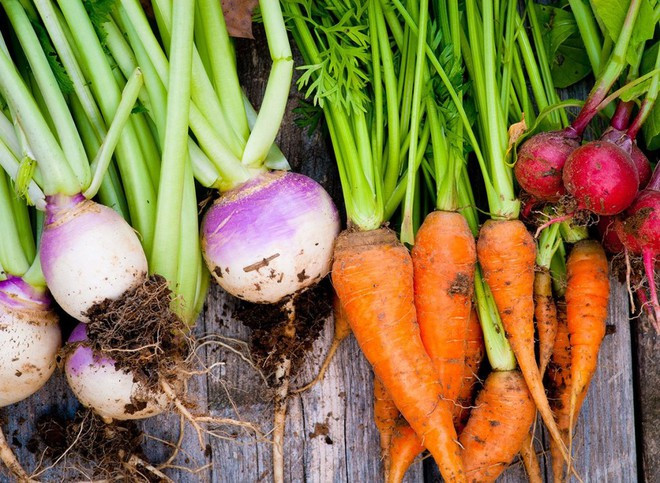 Rau củ rất có lợi cho sức khỏe con người. ẢNH MINH HỌA: SHUTTERSTOCK