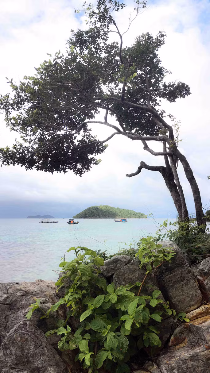 Có vẻ như thiên nhiên đang ôm ấp chở che cho con người ở đây