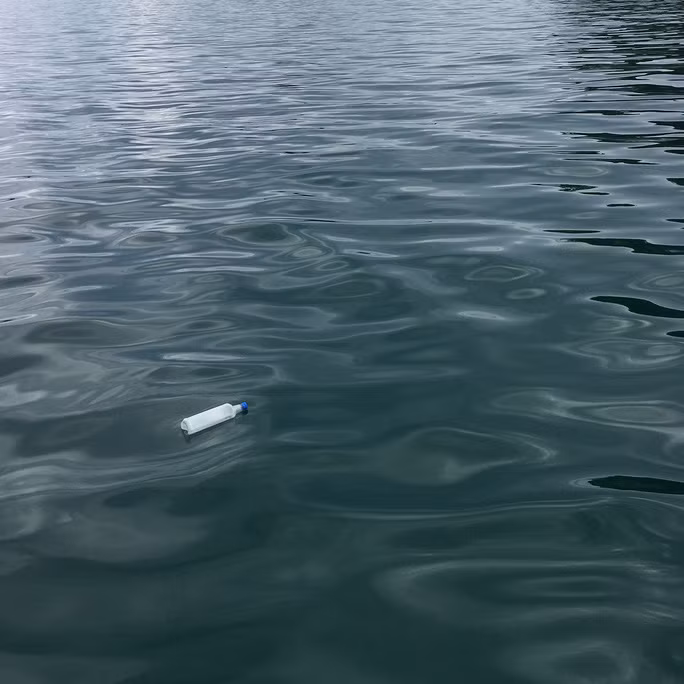 Còn con người thì đôi khi lại không biết quý trọng thiên nhiên