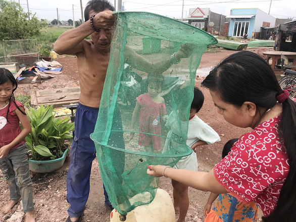 Mỗi năm, mùa cá nước nổi cứ ít dần - Ảnh: THÀNH NHƠN