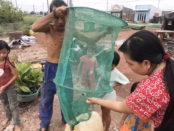 Mỗi năm, mùa cá nước nổi cứ ít dần - Ảnh: THÀNH NHƠN