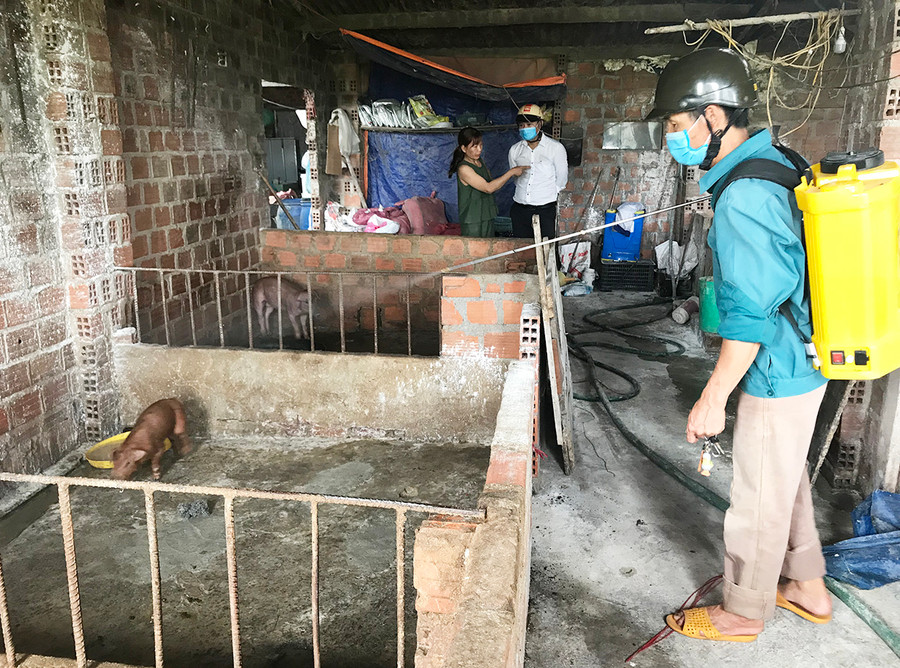 Tiêu độc khử trùng chuồng trại chăn nuôi. Ảnh: Phạm Ngọc