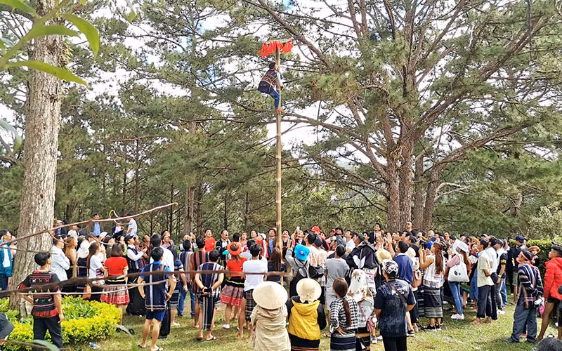 Thi leo cột mỡ trong hội thi các trò chơi dân gian.