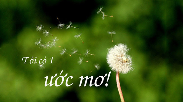 Ảnh minh họa: Internet