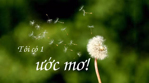 Ảnh minh họa: Internet