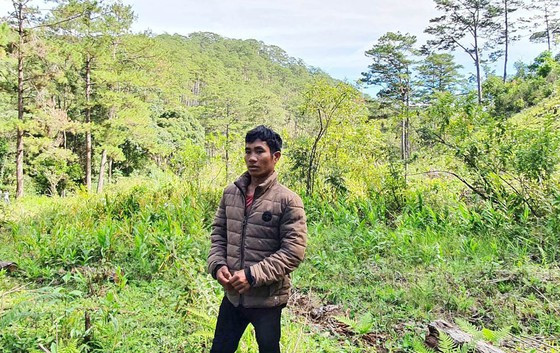 Đơng Gor Ha Bri tại hiện trường vụ thông cổ thụ bị cưa hạ. Ảnh: ĐOÀN KIÊN