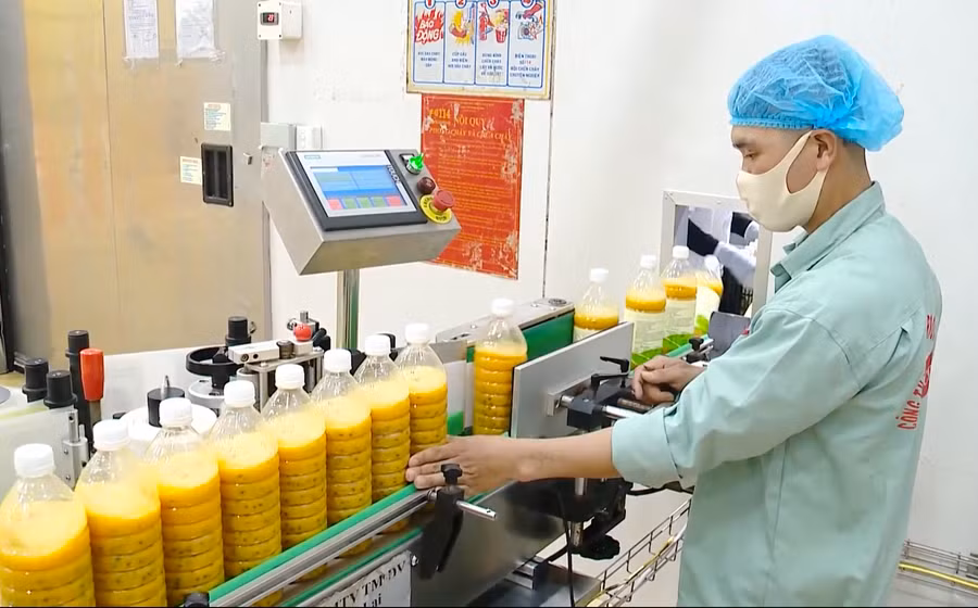 Nhà máy chế biến rau củ quả Đồng Giao. Ảnh: Hà Duy