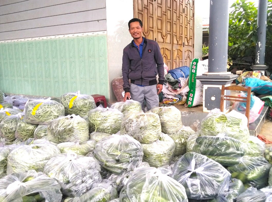 Ông Hoàng Văn Biên (xã Đak Hlơ, huyện Kbang) đóng gói rau quả cung ứng cho siêu thị. Ảnh: Ngọc Minh