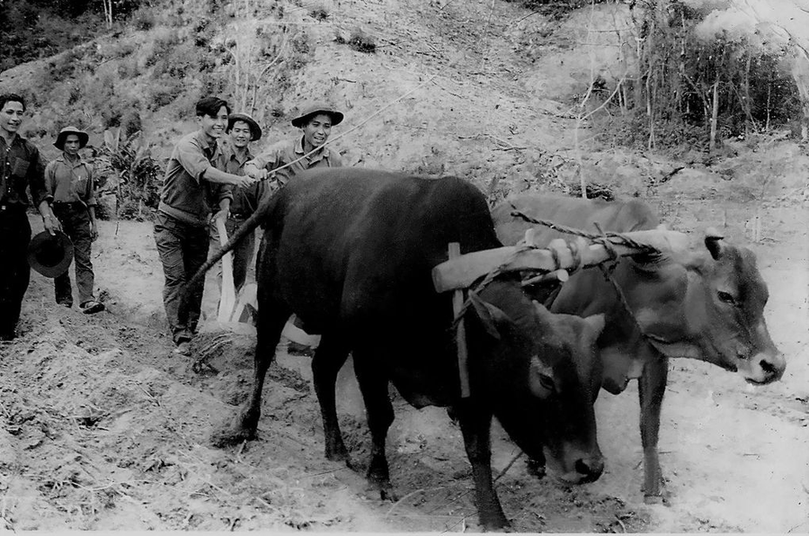Ban Sản xuất tỉnh làm rẫy bên bờ sông Ba năm 1973 (ảnh do Nguyễn Quang Tuệ sưu tầm).
