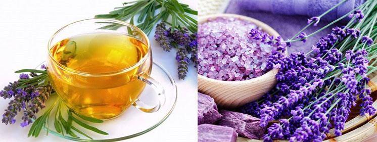 Trà hoa oải hương giúp giải tỏa căng thẳng và mang lại giấc ngủ ngon. Đồ họa: Hồng Nhật