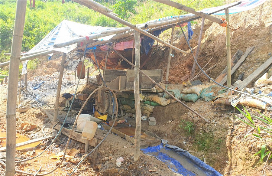 Bãi khai thác vàng nằm trên đất rừng phòng hộ