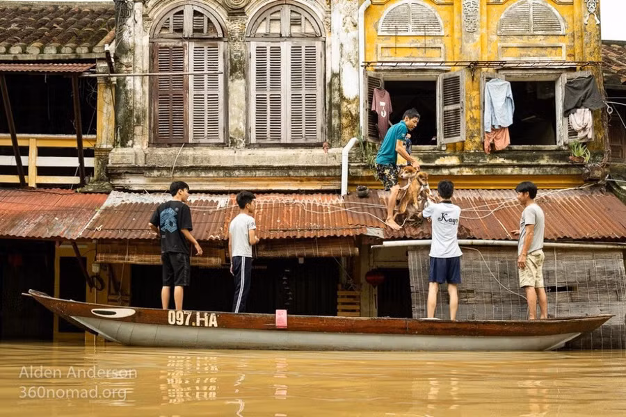 Một Hội An mùa lũ thật khác qua ống kính nhiếp ảnh gia người Mỹ ảnh 7